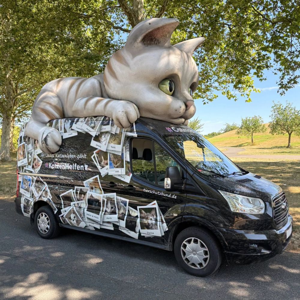 Catmobil