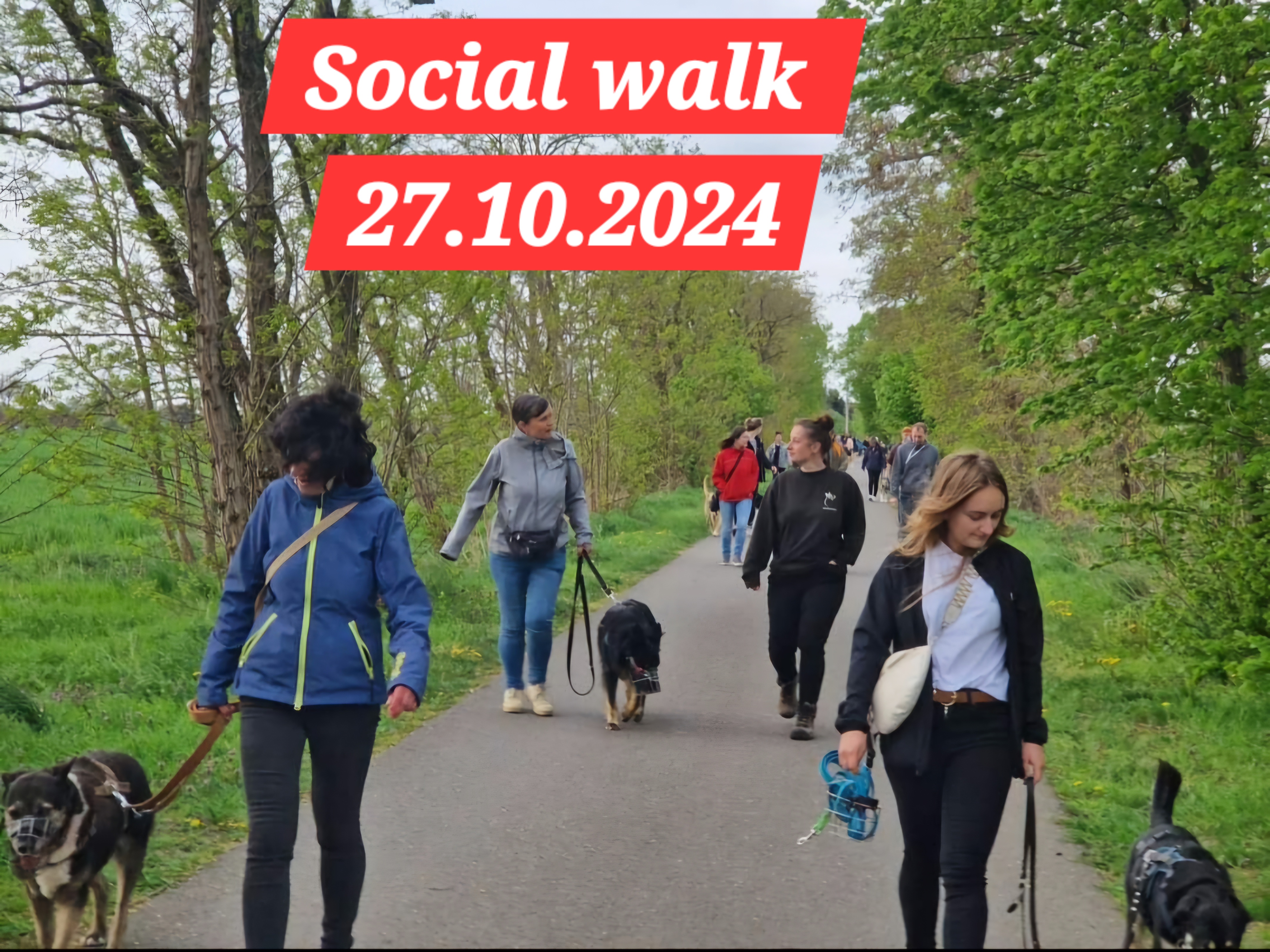 Social Walk 2024