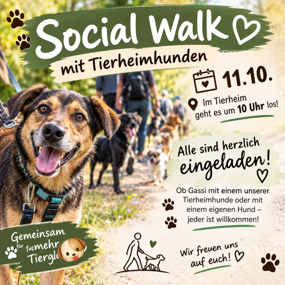Social Walk 2026